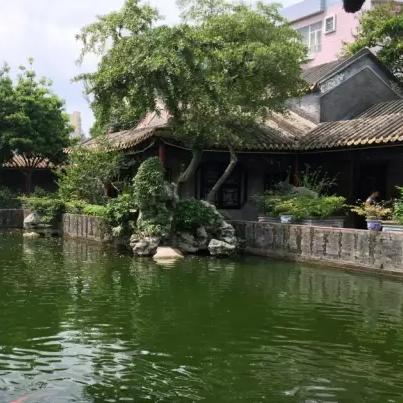 东莞市怎么去佛山市