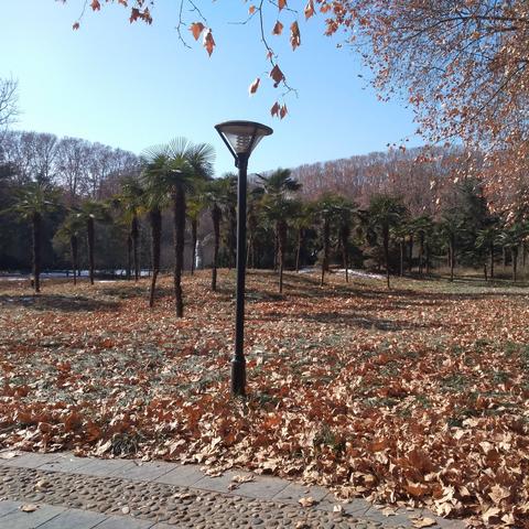 兰州市黄河宾馆在哪里