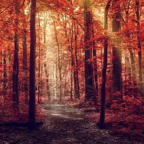 桂林西山公园海拔相关长尾关键词有哪些