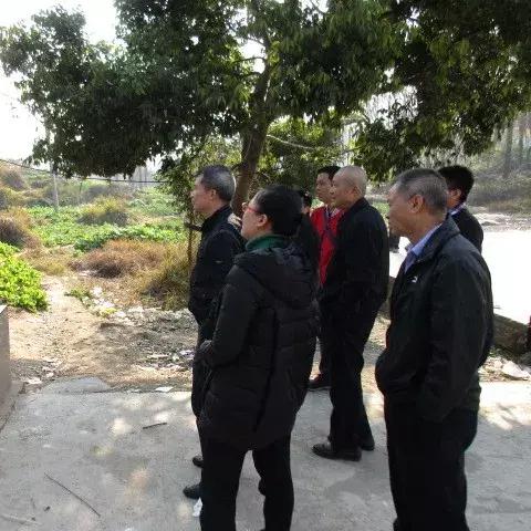 【天津蓟县教育网】相关长尾关键词有哪些