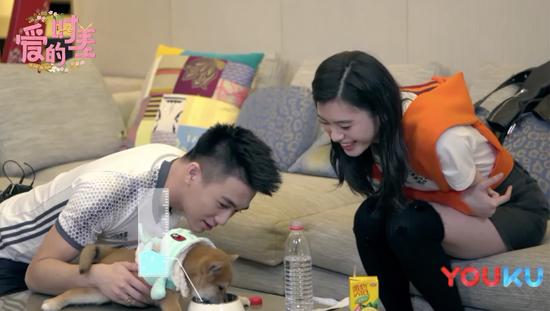 柴犬宝宝怎么起名(自己姓柴能养柴犬嘛)