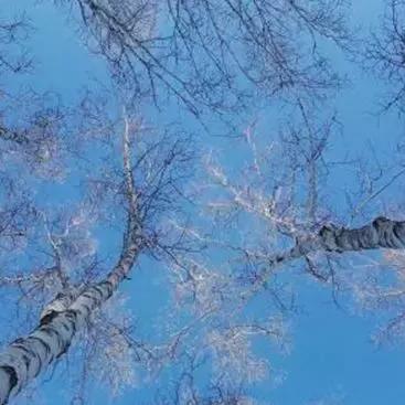 哈尔滨驯鹿相关长尾关键词有哪些