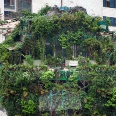 广州市顶楼豪宅价格多少 广州市顶楼豪宅价格多少