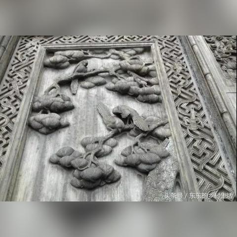 福建赏梅花的最佳地方？