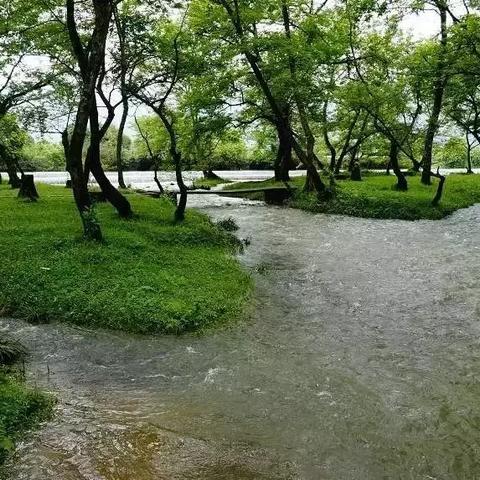 桂林市路边单车烧烤店在哪里