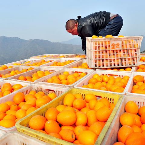 现在赣州市的行情是多少钱