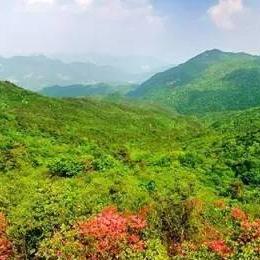 河南商城房子销售怎么样