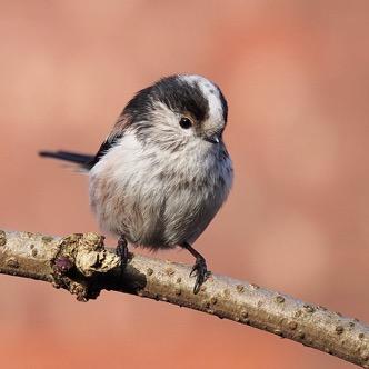 北方跨境电商什么产品好 的拓展长尾关键词有哪些 
