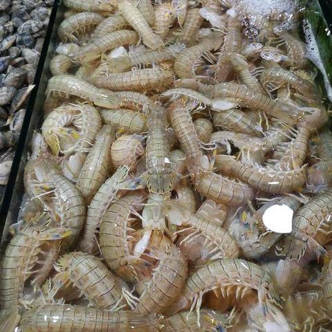 济南市哪里海鲜批发市场