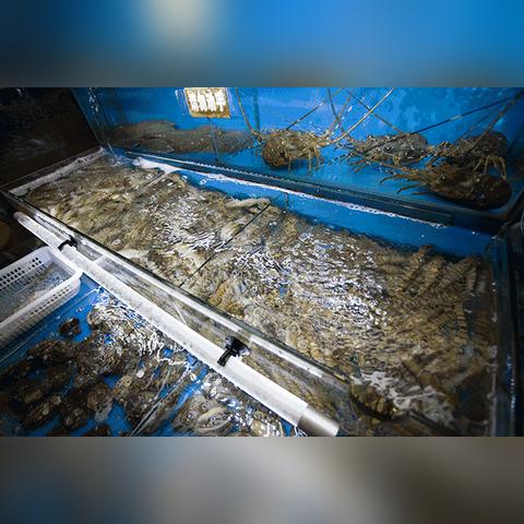 南通市哪里有海鲜自助餐