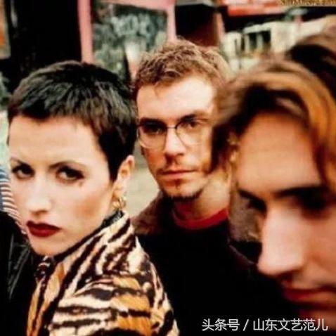 plant vs zombie（植物与僵尸，一场永恒的战斗）