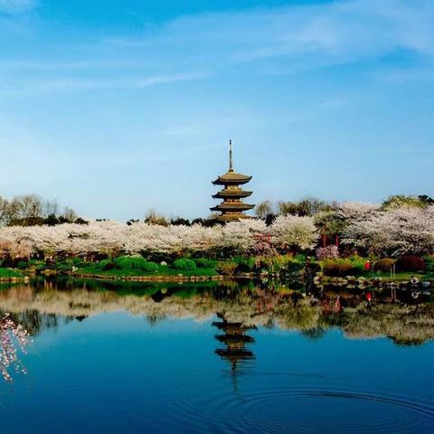 重庆三峡哪个区房最好