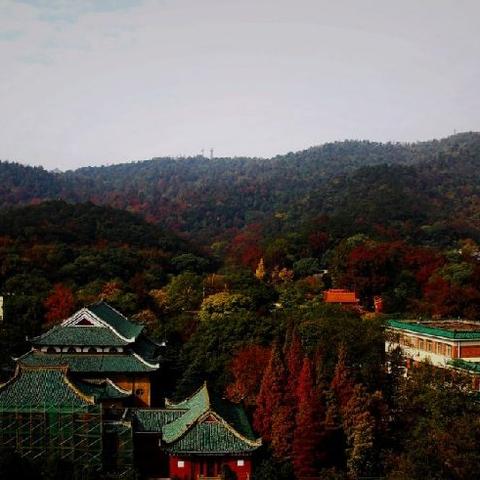 长沙市区的湘江海拔高度？