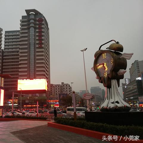 东莞市学校改名字怎么改