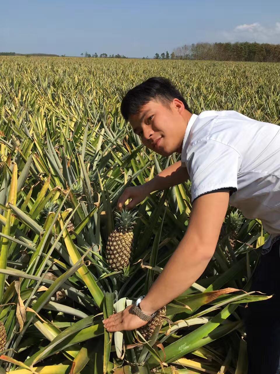 水果榨汁搭配大全表格(苹果最佳榨汁搭配表)