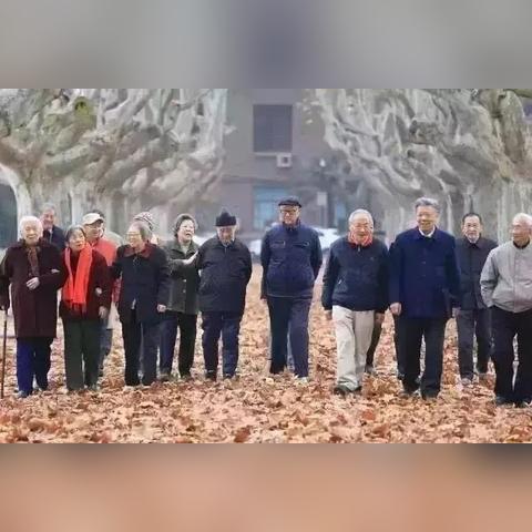 什么叫西安市中优政策