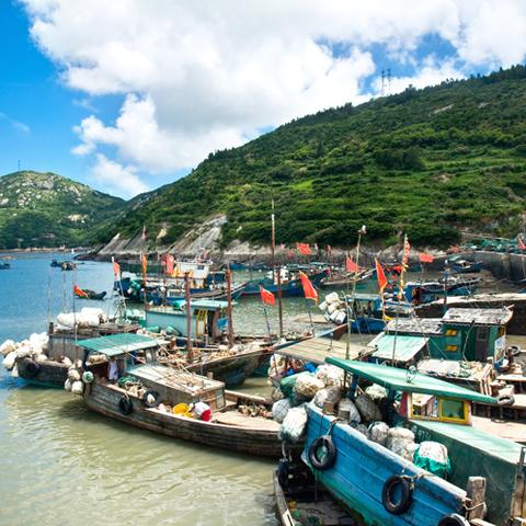 温州离哪个省近？