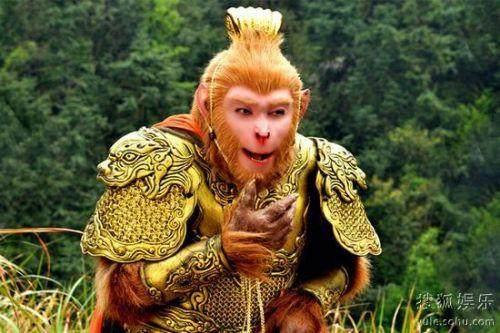 梦境迷离，大蛇变小蛇的寓意与解析