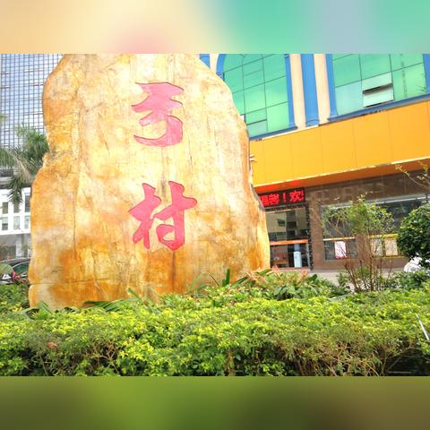 深圳市哪个地方最大面积