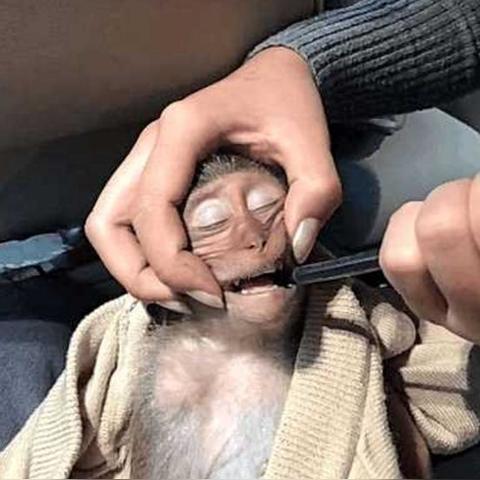 武汉飞往曼谷的长尾关键词有哪些