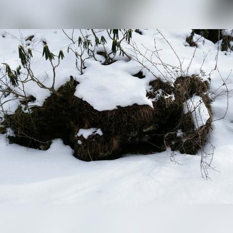 兰州有哪些以山命名的地名？