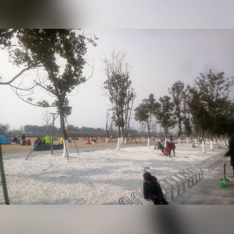 成都市停车中心在哪里