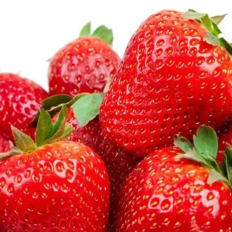 桂林市颗粒厂有哪些厂区