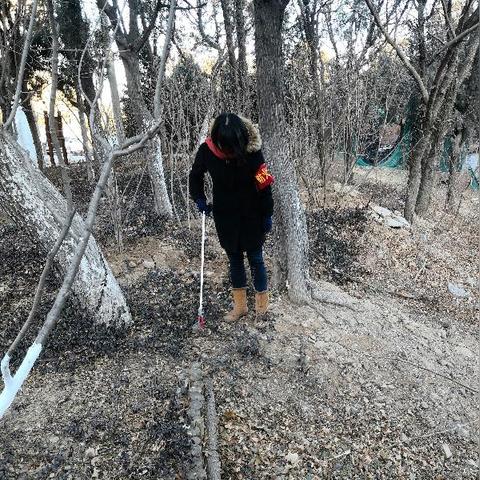 济南市森林公园房价多少