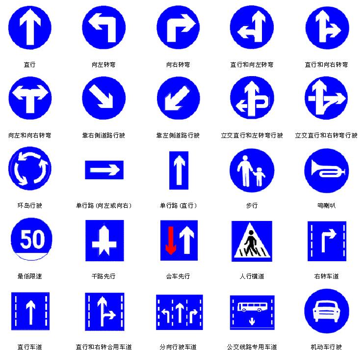 车辆信号灯图解交通信号灯知识教学