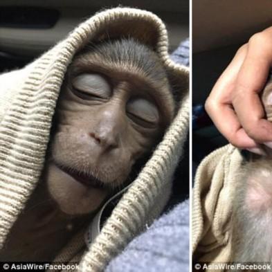 广州咖啡窗口相关长尾关键词有哪些