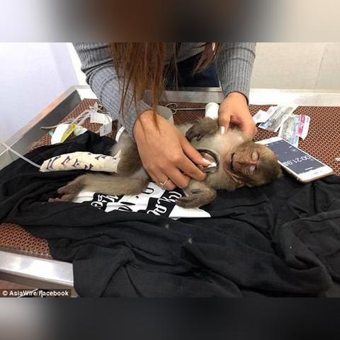 环球网跨境电商产品 的拓展长尾关键词是那些 