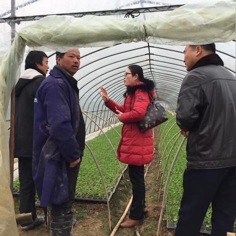 金华这星期天气怎么样