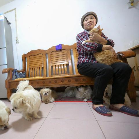 济南市退休工资打到哪里
