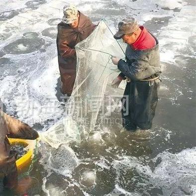 深圳市天瑞达科技有限公司怎么样？