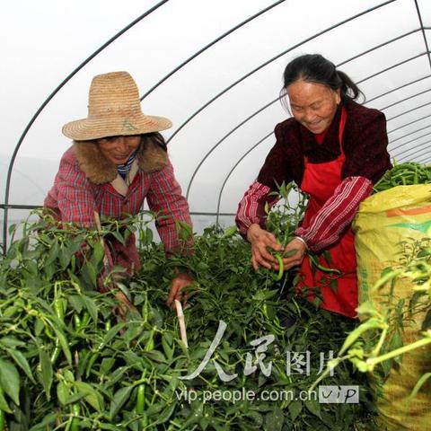 石家庄市永丰劳务的长尾关键词有什么