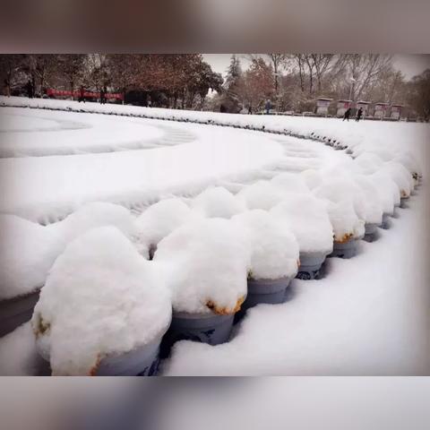 广东佛山市下雪吗冬天的长尾关键词有什么