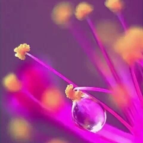 甲木水多木漂的八字(甲木水命)