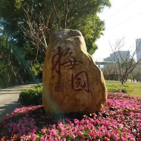 长沙市梅园中学怎么样啊