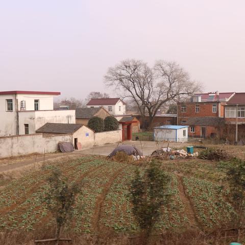 合肥市周围城市有哪些县