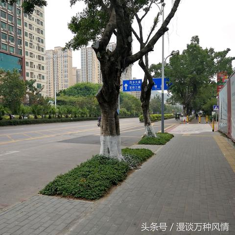 深圳市哪个区最多工业区