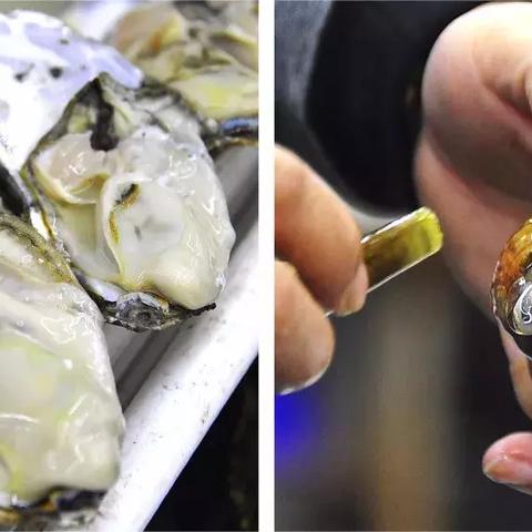 大连市有什么好的酒店