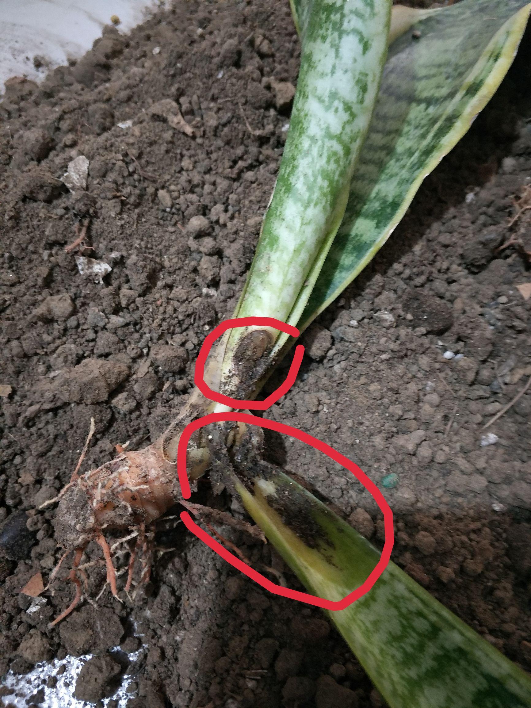 冬季开窗通风最佳时间?一定要把握好这两个时刻