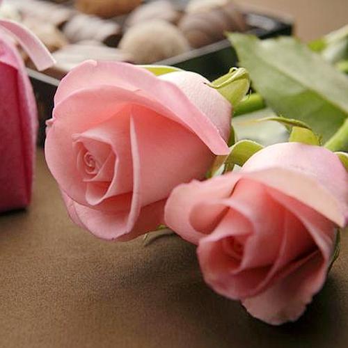 送玫瑰花送几朵,送什么礼物能让别人感到温暖?