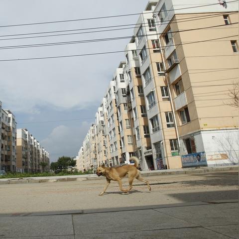 兰州市新房买卖的相关长尾关键词有哪些