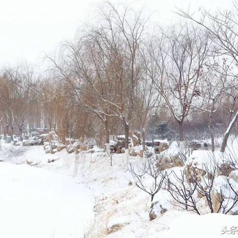 为什么河南北京限号严重