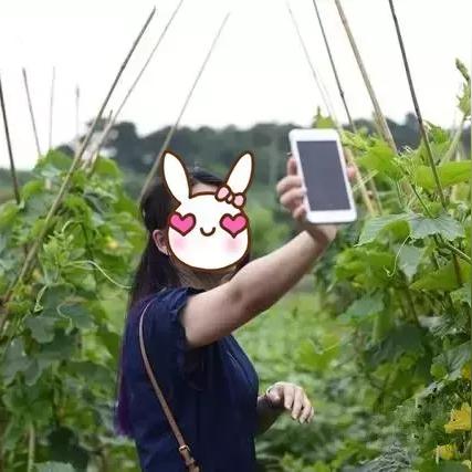 广东省佛山市钓鱼农庄的长尾关键词有哪些