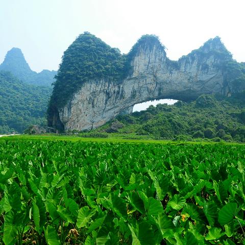 桂林市平乐县青龙乡有哪些古村