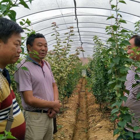 昆明市宜良卖农药的长尾关键词有哪些