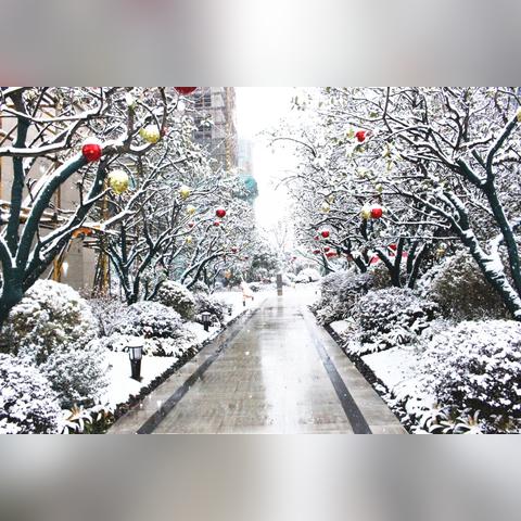 无锡市红豆广场图片的长尾关键词有哪些