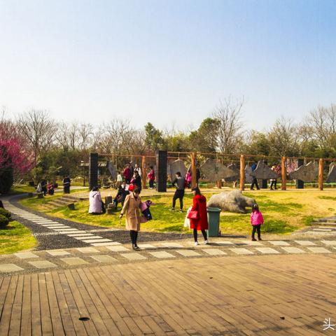 合肥野炊的地方相关长尾关键词有哪些